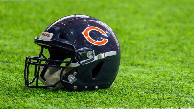 Bears_1