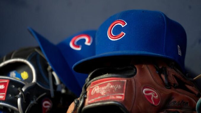 Cubs hat_1